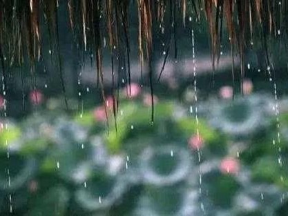 家里溫濕平衡、四季如春，遠(yuǎn)離梅雨季